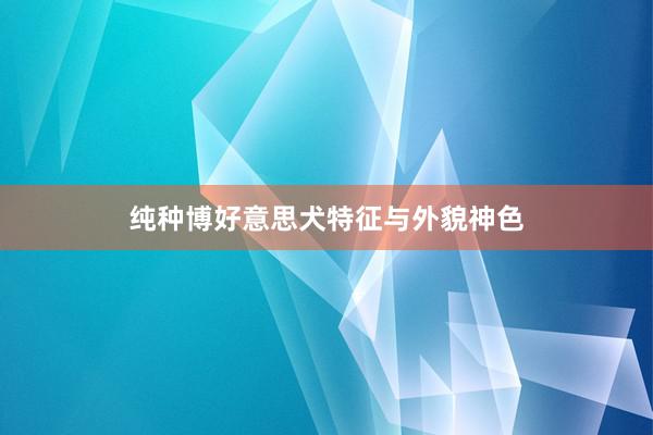 纯种博好意思犬特征与外貌神色