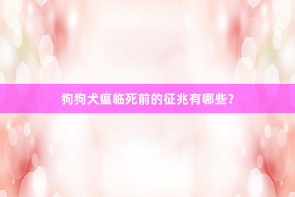 狗狗犬瘟临死前的征兆有哪些？