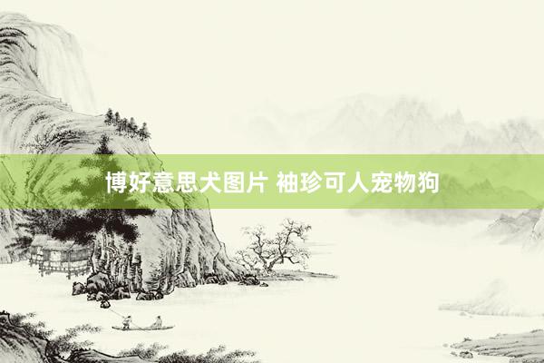 博好意思犬图片 袖珍可人宠物狗